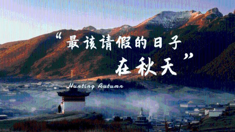 迷路的老奶奶