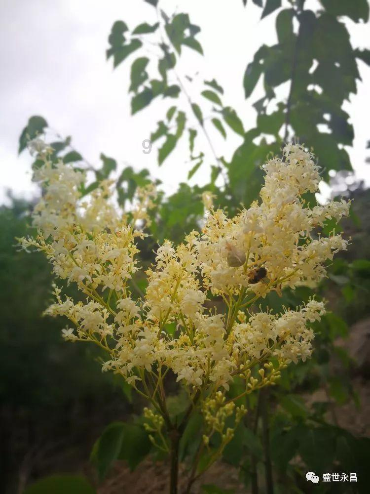 缤纷糖果消消乐