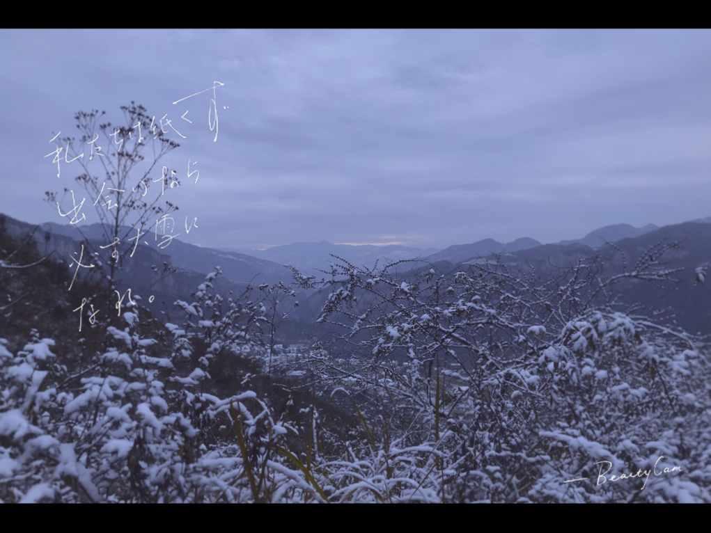 农畜山羊逃脱