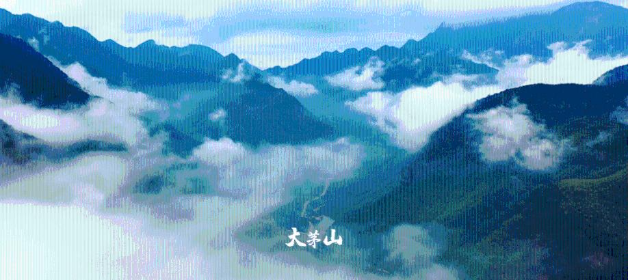 羞辱2