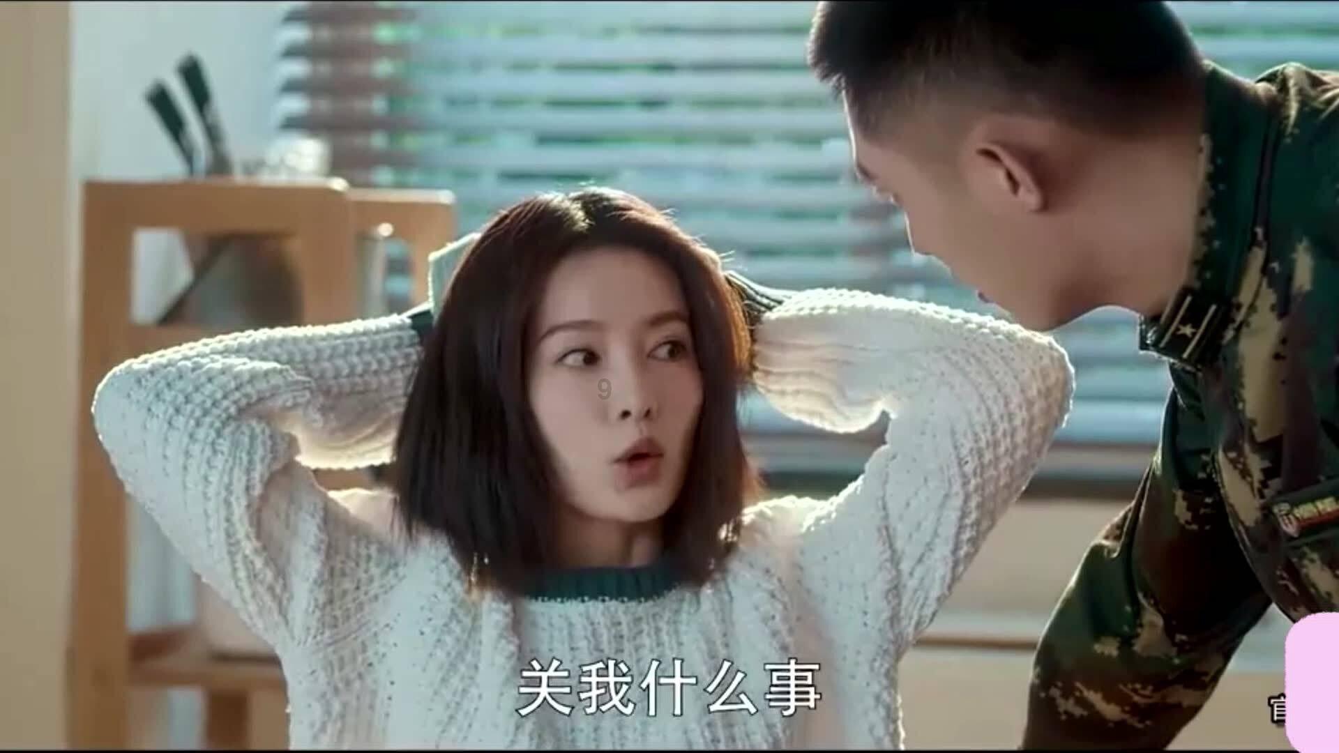 探探猫宝石岛