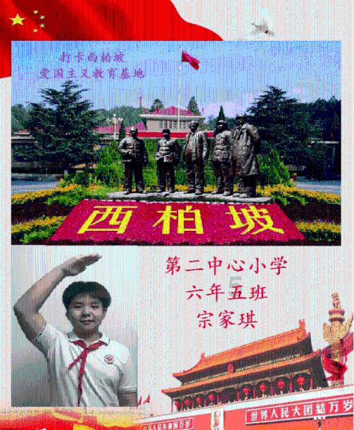 澳洲皮草