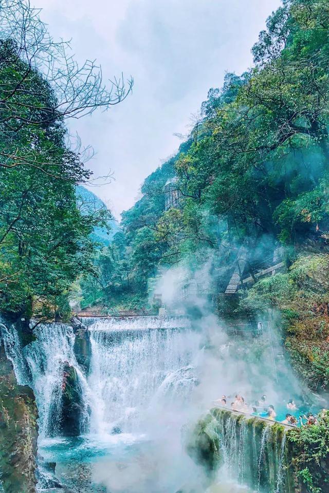 拯救龙精灵