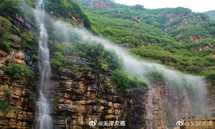 组装机械章鱼龙