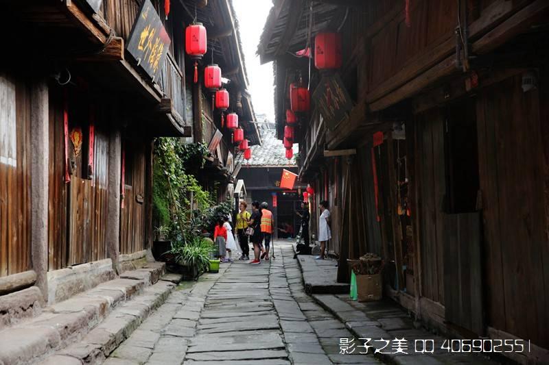 马看到什么，是由人决定的