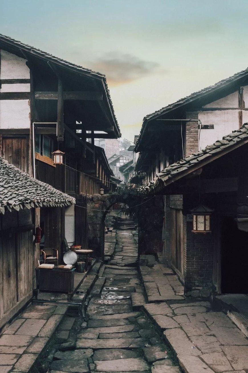 鸡智斗勇的生肖游戏画面