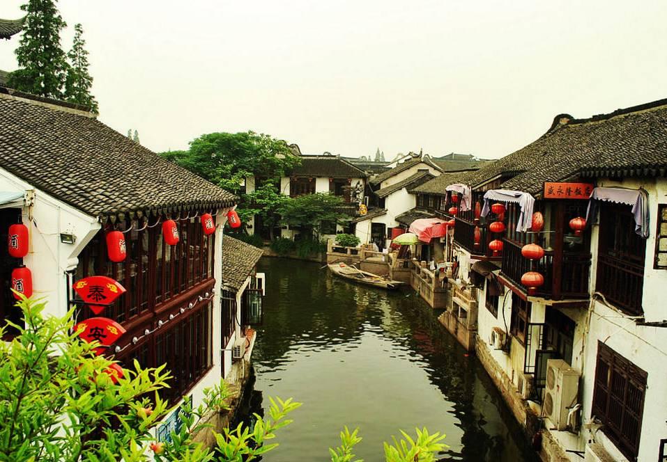 他们找来一根很粗很干的树干(缩句）？