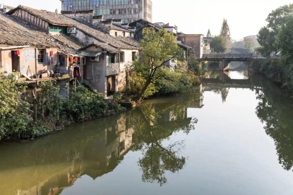 可爱的蜗牛拼图